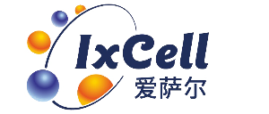 江南体育官方最新